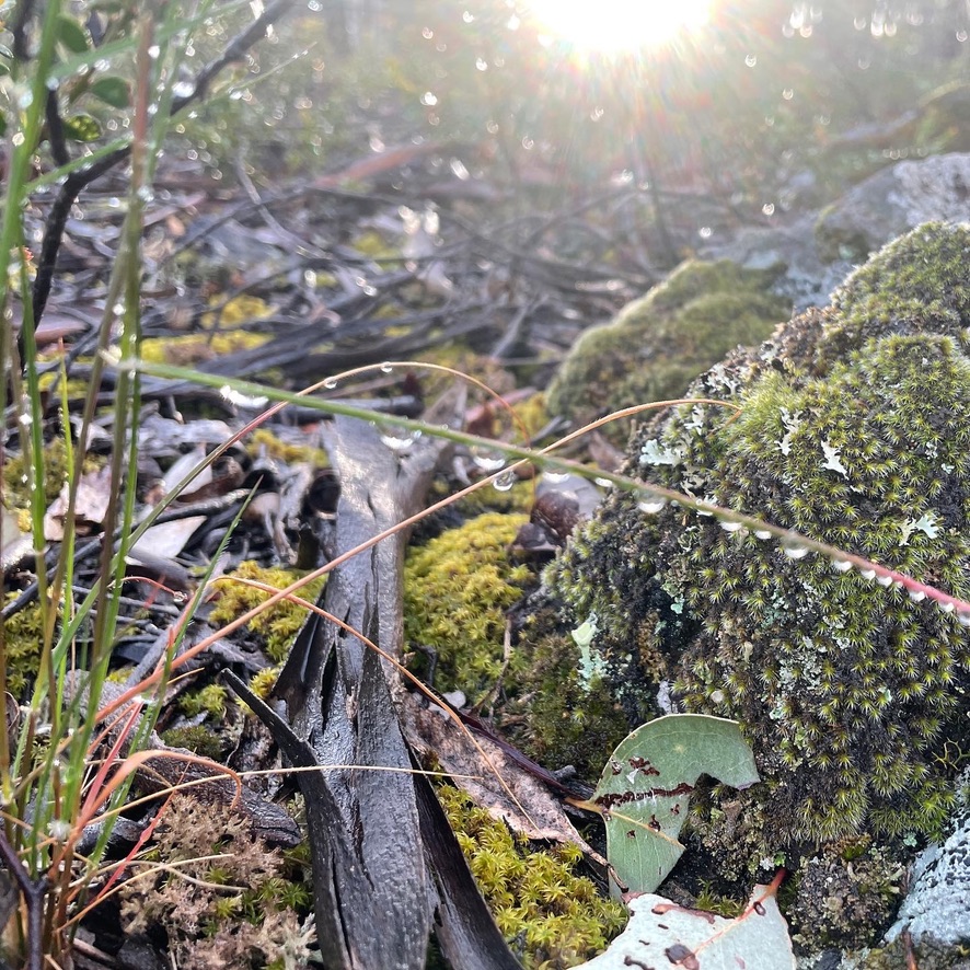 hold lightly to the trembling ground