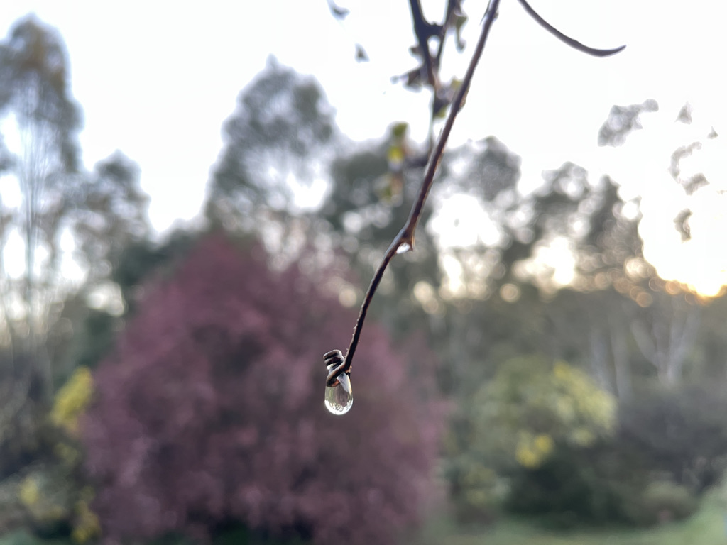 a whisper of defiance