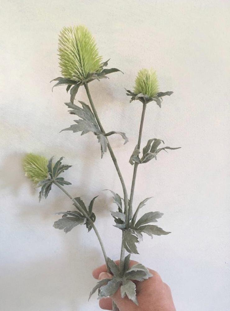 To read with the whole body. It is one continuous line